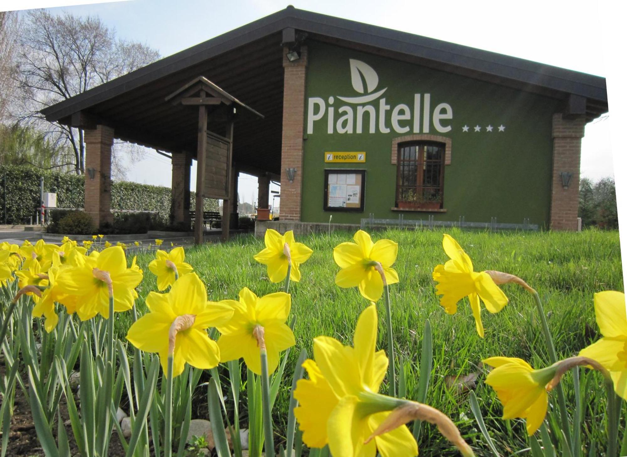 Camping Piantelle Moniga del Garda Eksteriør bilde